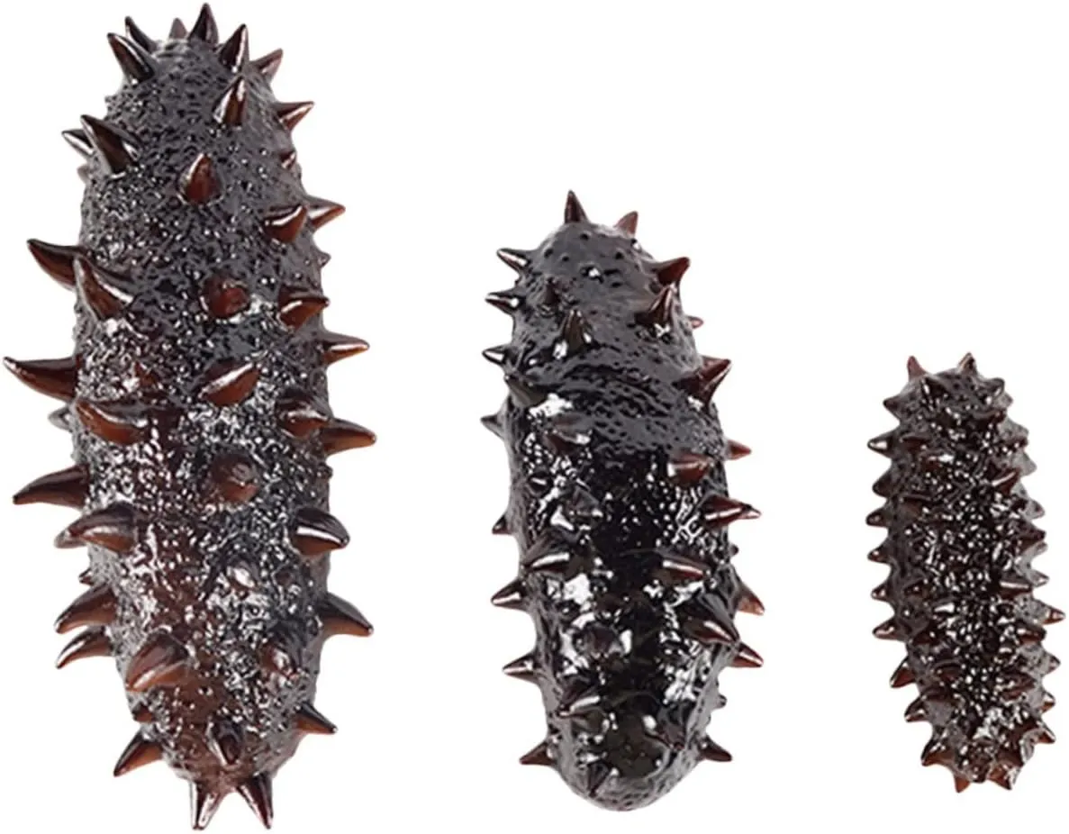 and Girls Educational for Play vocational recruit hit skeletal constitute grand and Decoration Premium for Photos and Learning 3pcs Artificial Sea Cucumber Models Lifelike Simulation Toys for Boys 