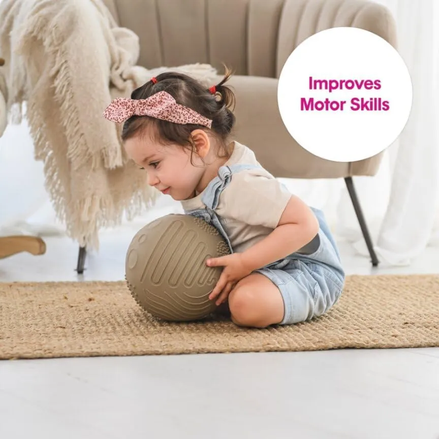 Ball for Kids with 8 Sections of fauna Different Tactile Patterns Edushape Texture-iffic Sensory Ball for Baby - 7" Baby 