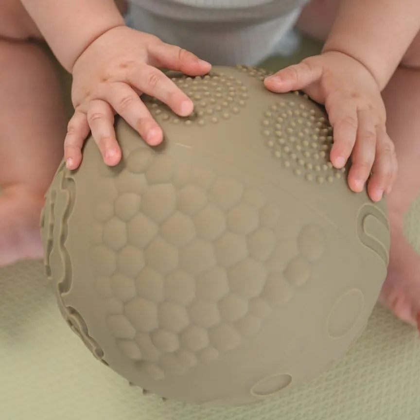 Ball for Kids with 8 Sections of fauna Different Tactile Patterns Edushape Texture-iffic Sensory Ball for Baby - 7" Baby 