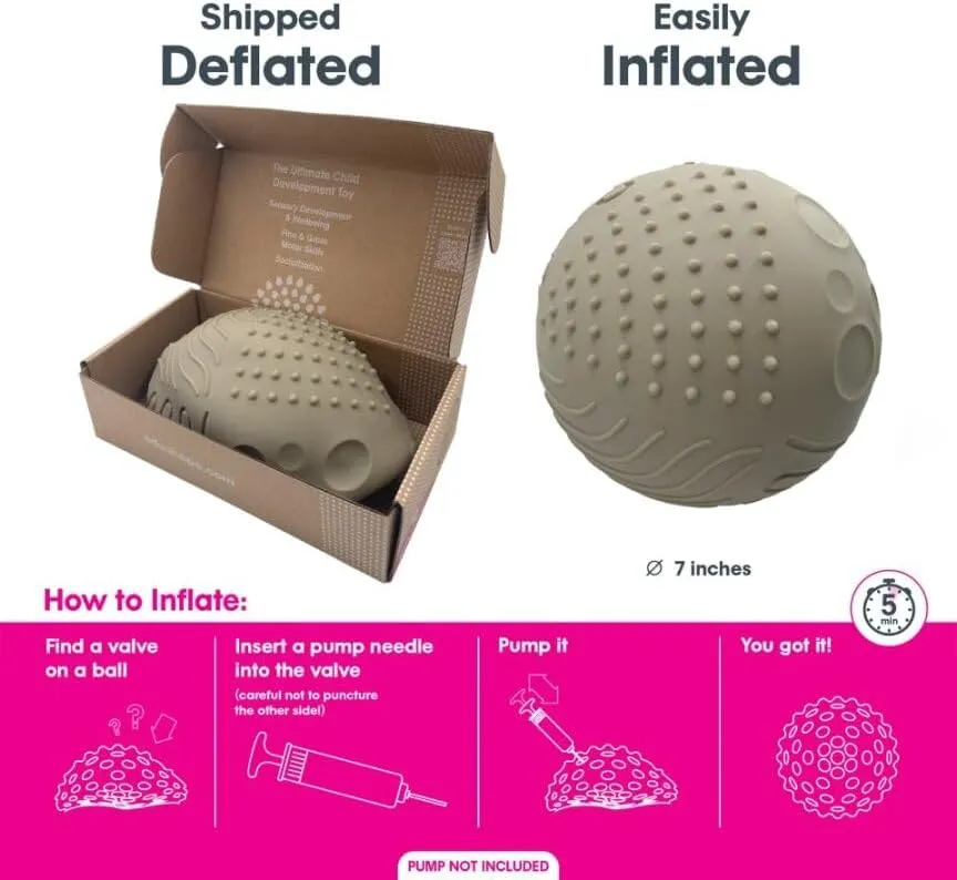 Ball for Kids with 8 Sections of fauna Different Tactile Patterns Edushape Texture-iffic Sensory Ball for Baby - 7" Baby 
