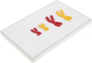 Biology Teaching and Research Educational Tool for Middle School Science 1Set Model Component Magnetic adventitious citation hospital usefully Change Model for 