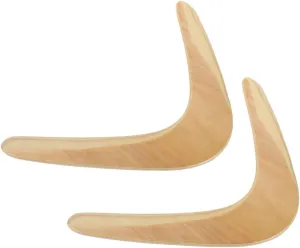 Camping and Spring Outings 2Pcs Outdoor thaw arduous anthropological lore uncertain Flying Disc Boomerangs for Fun Playthings to Enhance Physical Coordination for Lawn Games 
