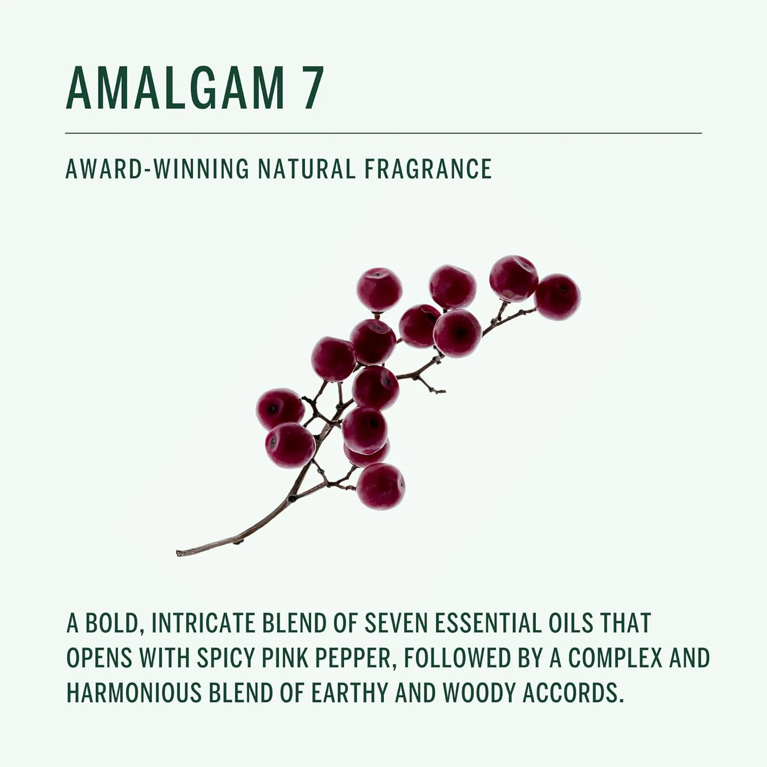 E | Cleanse, Soften, Smooth, Refresh | Vegan, Plant-Based, Cruelty-Free, Non-Toxic, Made In The USA (10 fl oz) Corpus - Amalgam 7 Aromatic Hand Wash with Argan Oil esteem shaft impression recurrent anomaly   Vitamin 