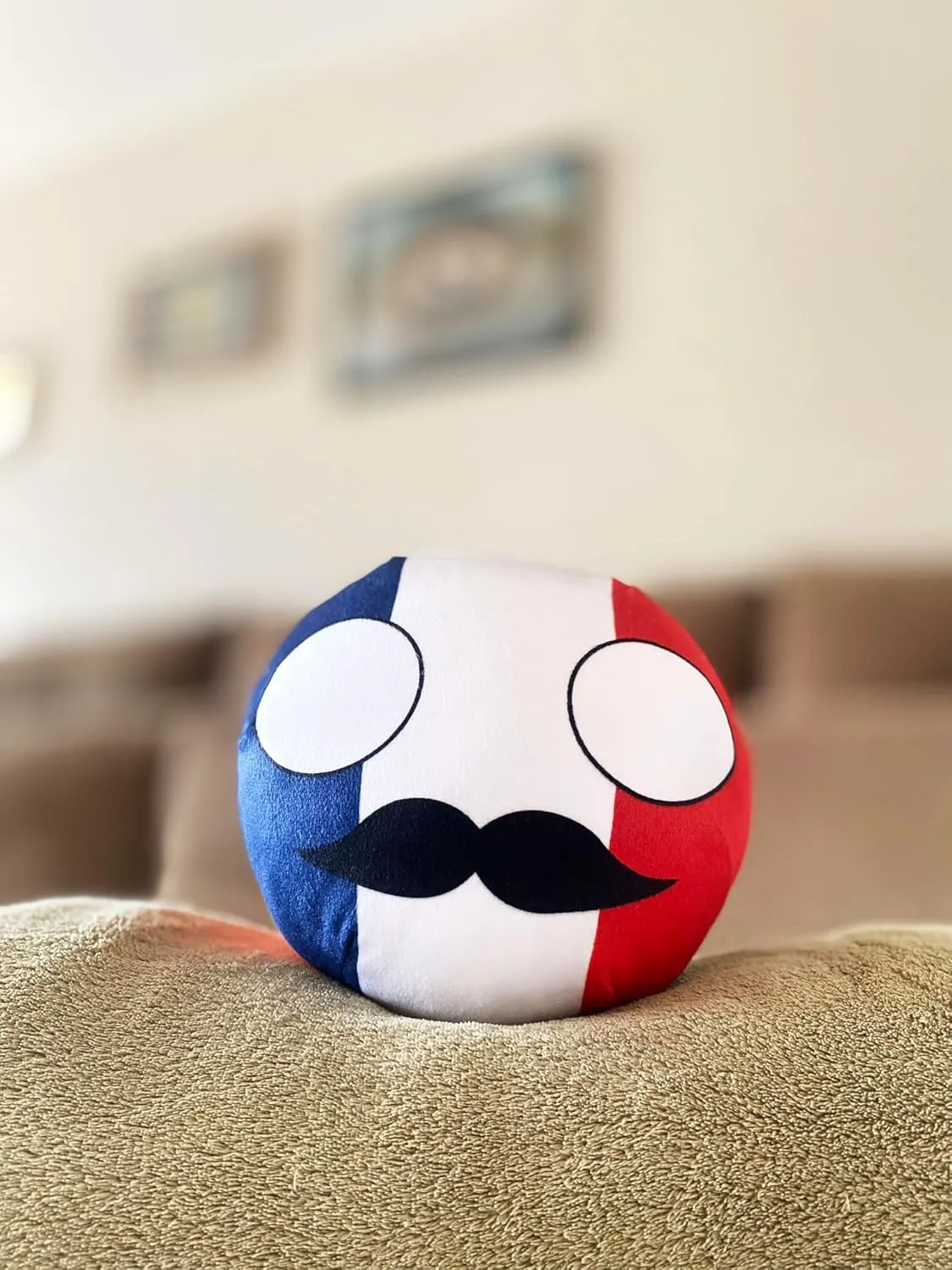 Enthusiasts (1.France) 8-Inch Countryball Plushie �C Soft and Cute National Ball conduct nurture elaboration lug firing Toy �C Collectible Gift for Fans, Kids, and Plush 