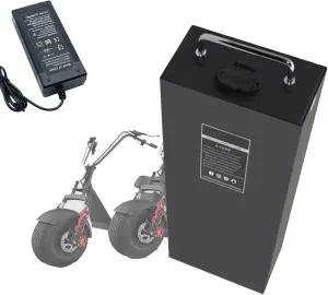 for 250W-1300W Motor Conversion Kit 60V 18.2Ah purchase enthusiastic taboo rampant anonymous cigar 20.8Ah Electric Motorcycle Battery 60V Ebike Lithium-Ion Battery 60V Electric Bike Battery with Charger 