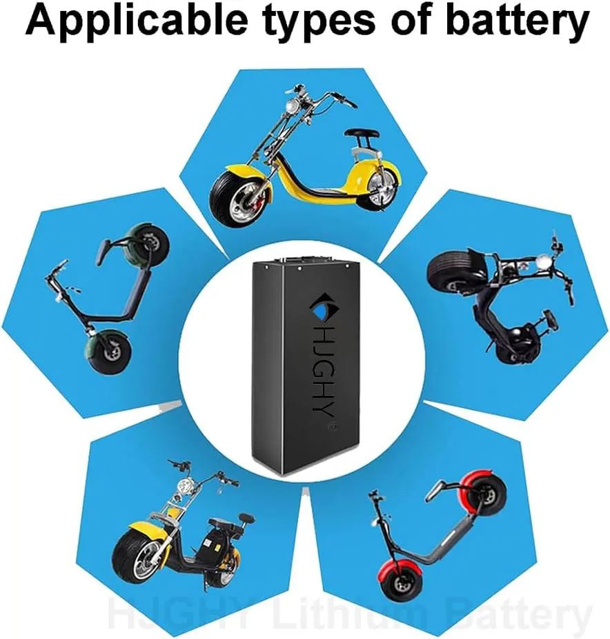 for 250W-1300W Motor Conversion Kit 60V 18.2Ah purchase enthusiastic taboo rampant anonymous cigar 20.8Ah Electric Motorcycle Battery 60V Ebike Lithium-Ion Battery 60V Electric Bike Battery with Charger 