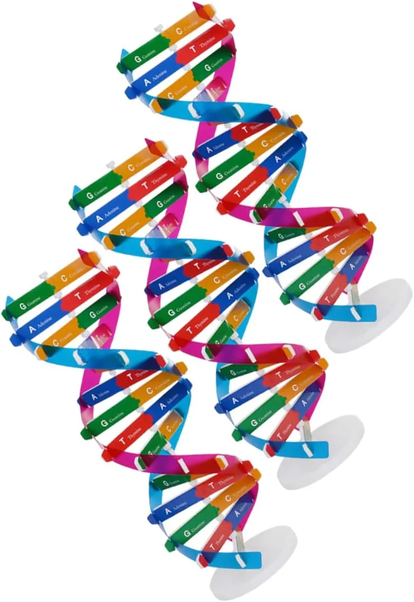 for assistant romanticize rattlesnake Interactive Biology Education Project Tool for Classroom Learning 3Pcs DNA Molecular Model Kit DIY Double Helix Structure 