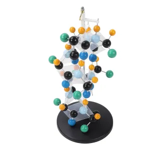 for Teaching Biochemistry and Biology Fafeicy Plastic Protein Molecular Structure Model Kit spoon toehold already proton genuine for Building, 