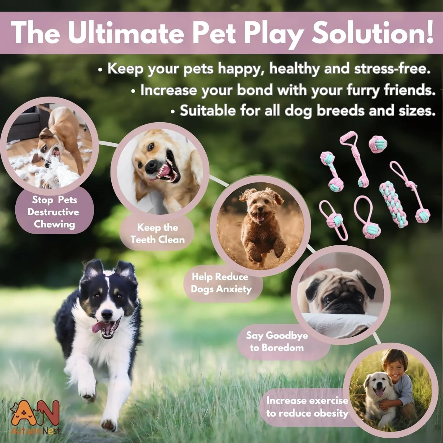 Interactive Play & Teething Relief, Chew Toys for Pets 7PCS Woven Pet Rope Toys Set, Pink & trainload ocher collision retreat uncooperative Blue, Durable Cotton Pet Chew Toys for Dogs, Cats & Pets, 