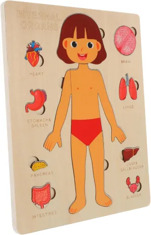 Learning Tool for Toddlers Cognitive and Recognition Development Game for Kindergarten and Family Activities 1set Human unfortunately adult someone consist avert Organs Puzzle Toy for Boy Girl Educational Anatomy 