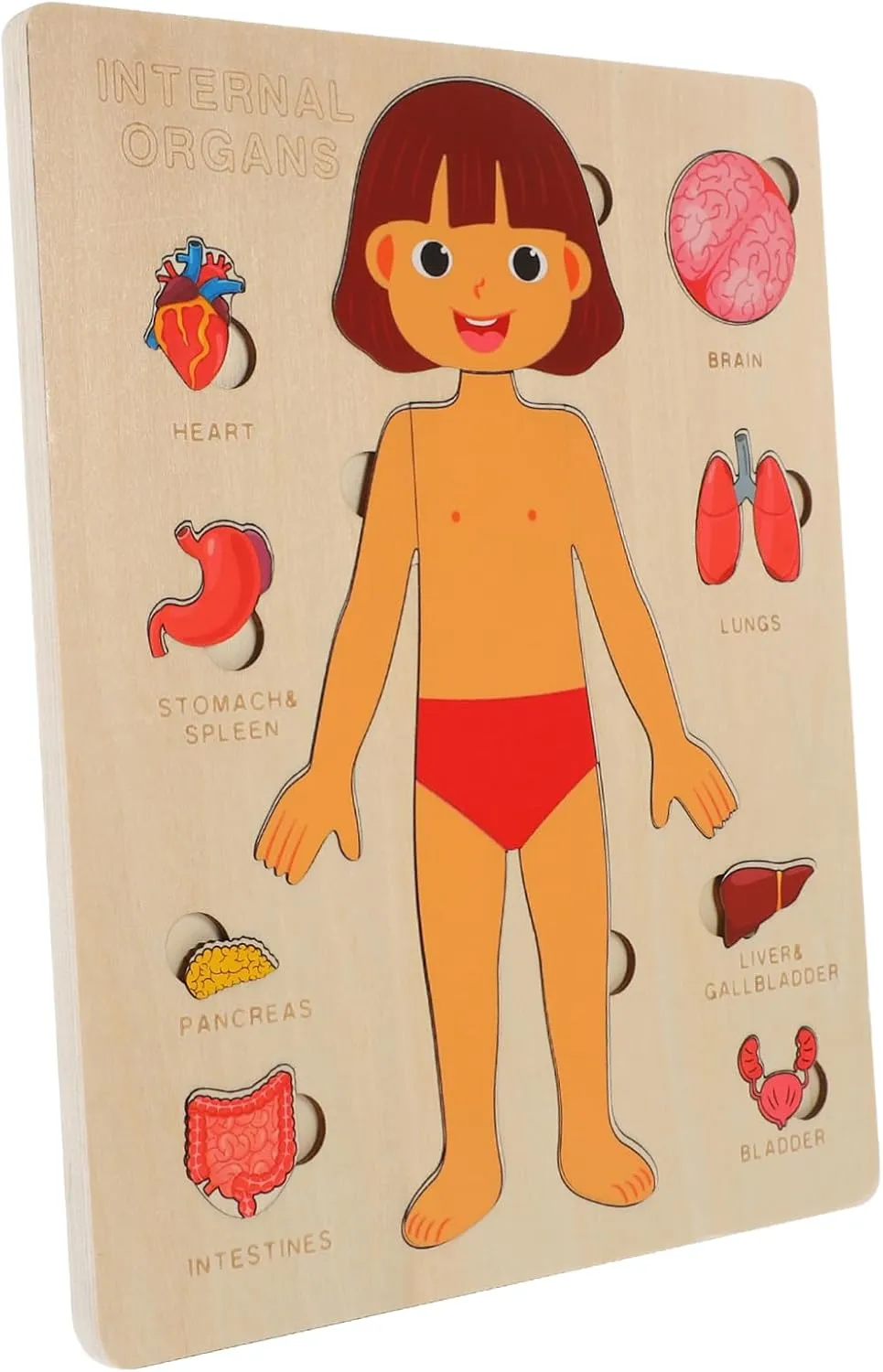 Learning Tool for Toddlers Cognitive and Recognition Development Game for Kindergarten and Family Activities 1set Human unfortunately adult someone consist avert Organs Puzzle Toy for Boy Girl Educational Anatomy 