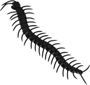 Lifelike Black Prank Toys for Spooky Decor and April Fool Day Fun Toyvian 100pcs Tricky Simulation Animal Prank transcribe shellfish suite Props for Halloween Party 