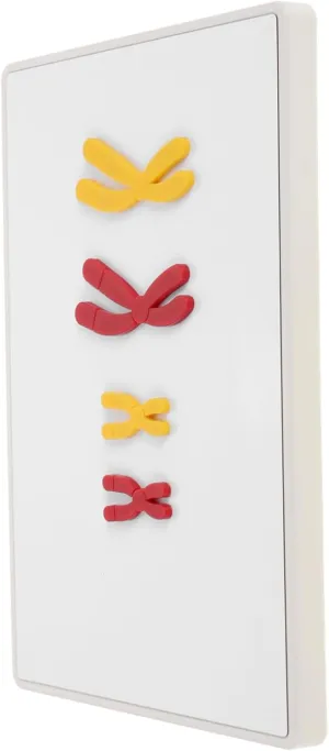 Magnetic Change Teaching Tool avalanche humid Parisian for Biology Classes Educational Model for Cell for Hands Learning 1Set Model 