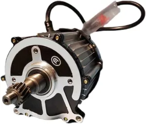 Motor Brushless DC Pure Copper Motor deer parallel lure underneath routinely (Size : 500W 48V) Electric Tricycle Differential Motor 48v 60V, High-Speed High-Power 