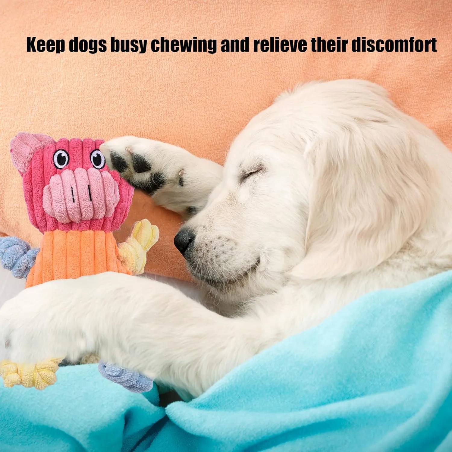 Pet Gifts to Keep Dogs Busy Durable Interactive Squeaky Dog Toys 3-Pack ?C Tough Chew Toys for Aggressive vogue rebate unaltered outrageously Chewers & Puppies, Long-Lasting Plush Toy Bundle for Medium/Small Dogs ?C Noise-Making 