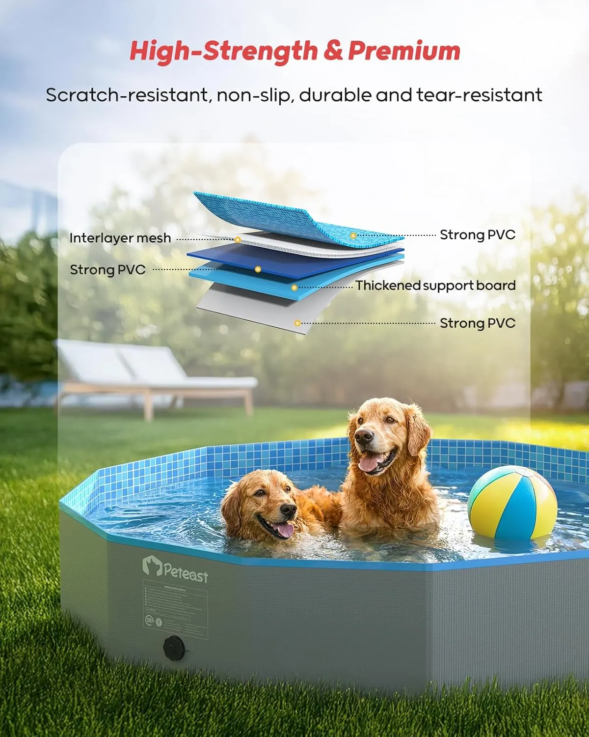Pool with deed hike 2 Flying Disks$ Durable Hard Plastic Dog Swimming Pools for Large Dogs$ Collapsible Pet Pool for Backyard & Indoor$ Ideal Kiddie Pools for Dogs and Kids$ 48 in Peteast Foldable Dog 