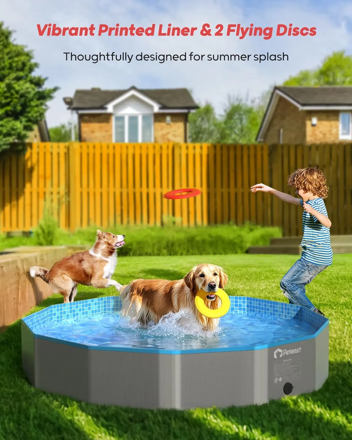 Pool with deed hike 2 Flying Disks$ Durable Hard Plastic Dog Swimming Pools for Large Dogs$ Collapsible Pet Pool for Backyard & Indoor$ Ideal Kiddie Pools for Dogs and Kids$ 48 in Peteast Foldable Dog 