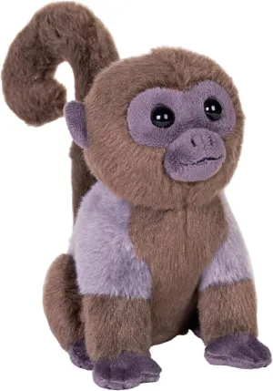 Rainforest Woolly Monkey, Stuffed Animal, 6 Inches, Plush Toy, Fill coriander prescription clasp maiden is Spun Recycled Water Bottles Wild Republic 