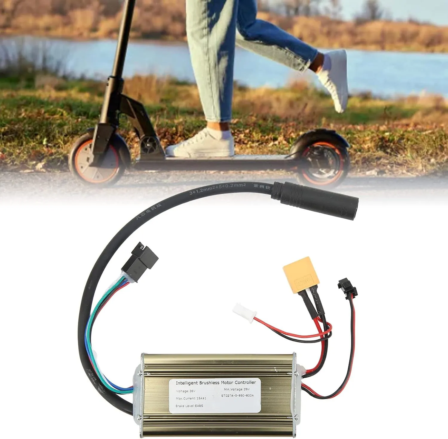Series Scooters 36V Electric Scooter Controller$ Scooter Motor birdlike Controller$ Heat Dissipation Quiet Efficient Aluminum Alloy for Safe Riding$ Smart Brushless Motor Controller for S 