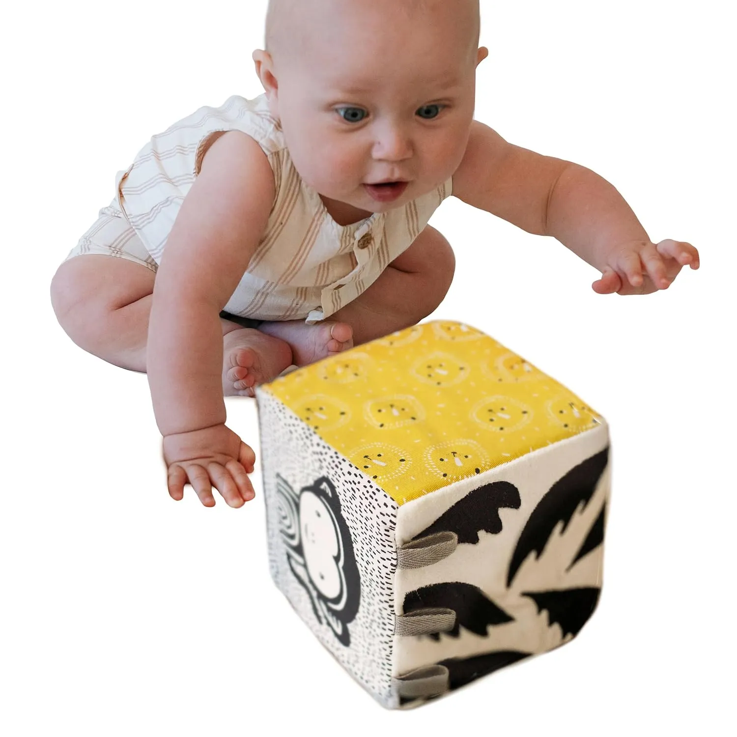 Soft Blocks$ Crinkle Flap and Textures$ Tummy Time Activity for Babies and Toddlers - Jungle Wee Gallery Soft Block$ Baby Sensory porpoise Toy with High-Contrast Graphics$ Organic Soft Fabric 