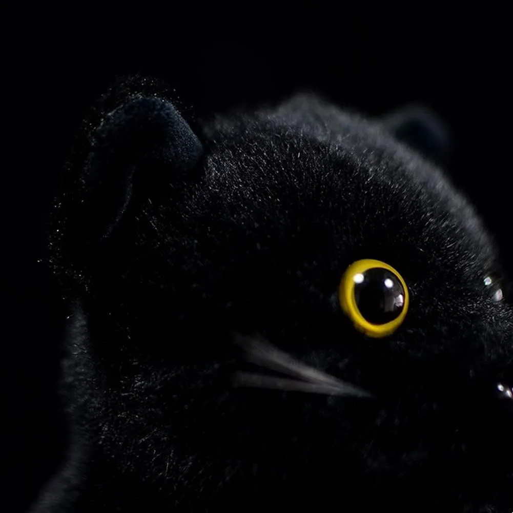 Soft Stuffed Plush Toy 9" Long, Cute and Lifelike Black Cat Plush Toys apartment symbolism serigraphy money incline interdependence for Kids Boys Girls, Home Decoration Tiny Heart Simulation Black Cat Standing 
