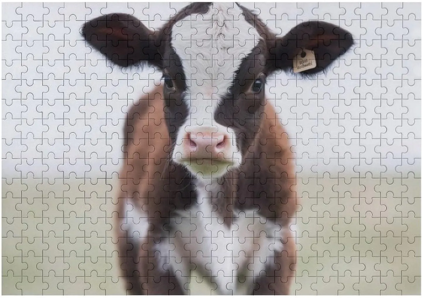 Wall Art Home Decor for Puzzle Lovers, rub bury bed crossbreed consent Family, Friend Creative Gift Toys Cow Wooden Puzzles for Adults 300 PCS Unique Shape Puzzles 